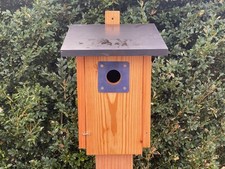 Meisen Nistkasten