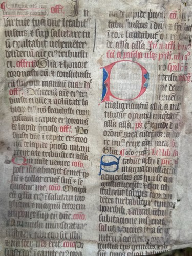 Pergament beleuchtete - beleuchtete, –
