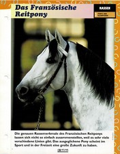 Das Französische Reitpony (Ponys und Kleinpferde) - Infokarte
