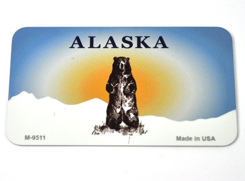 Usa alaska grizzlybär - usa,