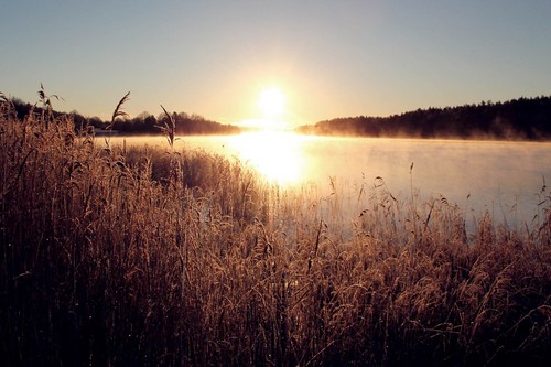 Angelreise reise nach schweden - nach,