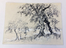 KOHLEZEICHNUNG - OLIVENBAUM AM