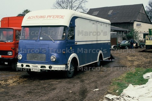 Lkw foto horse transporter - foto,