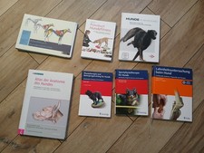 Hundephysiotherapie