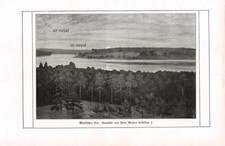 Märkischer See - Walter