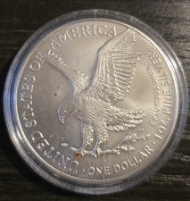 1 Oz Feinsilber 1 Dollar