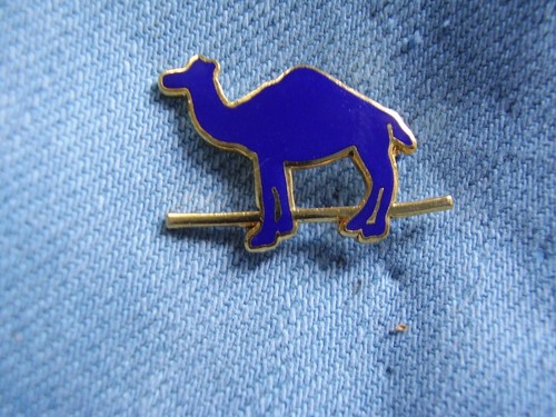 Pin camel zigaretten - pin,