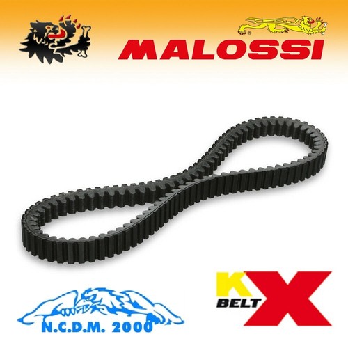Malossi 6113396 - malossi,
