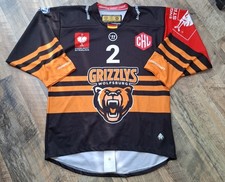 GRIZZLYS wolfsburg Eishockey