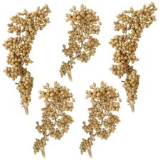 Canella Trockenpflanzen