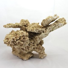 Riffgestein, 55,5 x 37,5 x3