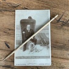 Antikes Original-Foto um 1895–1905 – Nordseebad Borkum; Herr Im Strandkorb Hund