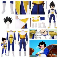 Dragon Ball Z Vegeta Cosplay