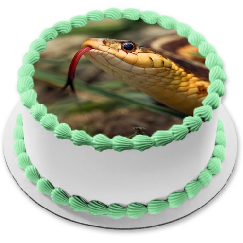 Schlange reptil tortenaufleger - schlange,
