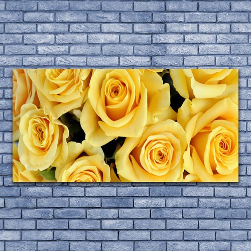 Acrylglasbilder wandbilder aus - acrylglasbilder,