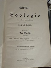 Wossidlo, Leitfaden Der Zoologie 2. Teil: Der Mensch, Berlin 1916