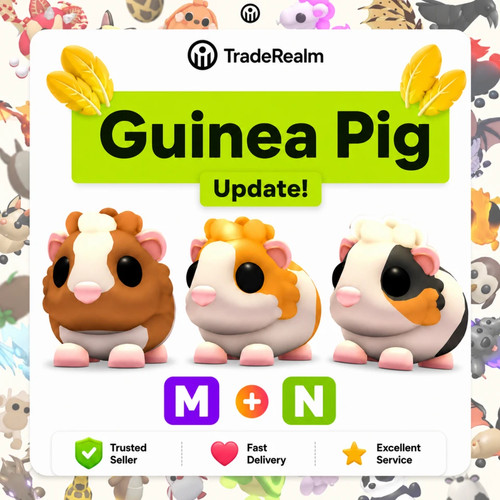 Adopt guinea pig update - adopt,