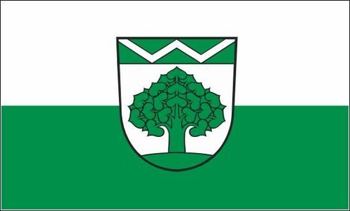 Fahne flagge werneuchen x - flagge, 90