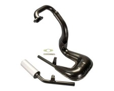 Auspuff Polini Sport mit