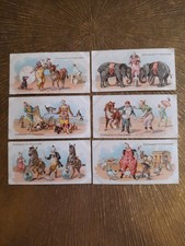 Stollwerck Sammelbilder, Album