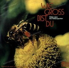 Hildor Janz - Wie Gross Bist Du 7in (VG/VG) .