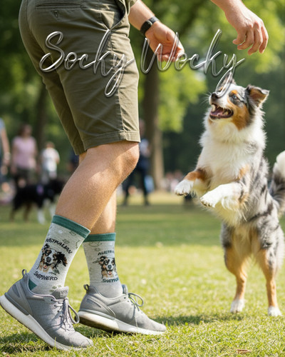 Australian shepherd socks - australian,