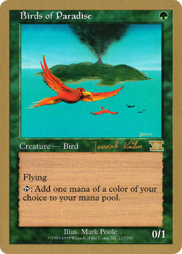 Magic mtg birds of - -,