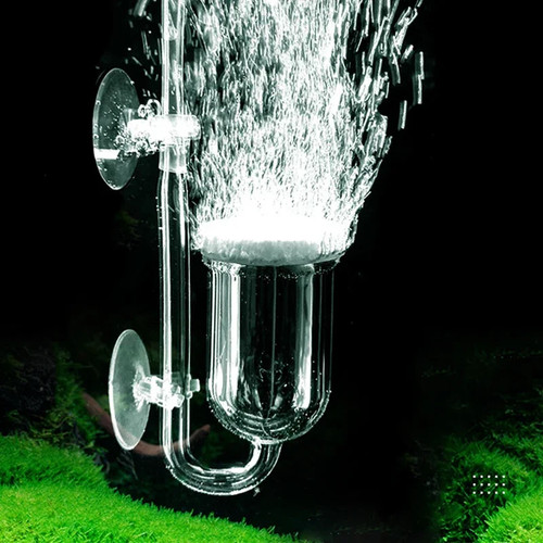 Co2 diffusor aquarium - co2,