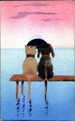 Hund und katze - hund,