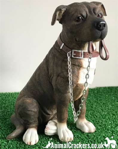Staffordshire bullterrier - staffordshire,