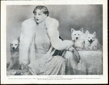  SPITZHUNDESEITEN AUS