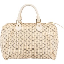 Louis Vuitton Monogram Mini