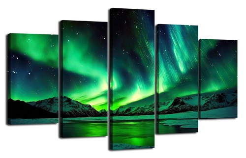 Bild tlg nordlichter visario - bild,