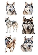 Designer Aufkleber / Sticker /