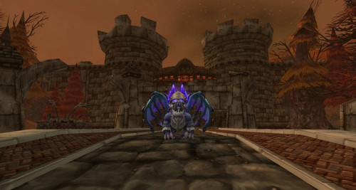 Wow acc midnight druid - wow, acc,