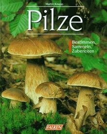 Pilze bestimmen sammeln - pilze., bestimmen,