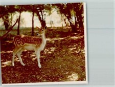 40095920 - 5592 Klotten