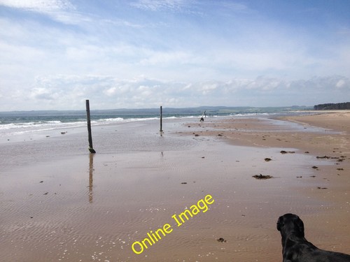 Foto 12x8 tentsmuir - 12x8,