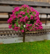 5 dunkelrot blühende Bäume