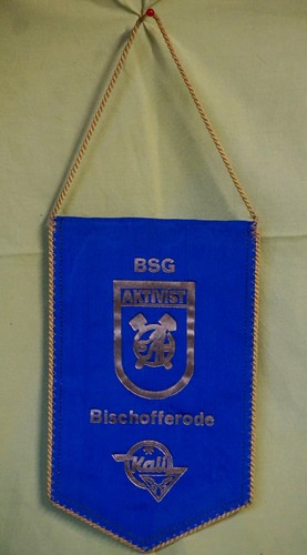 Ddr wimpel bsg aktivist - wimpel,