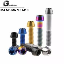 M4 M5 M6 M8 M10 Titanschrauben