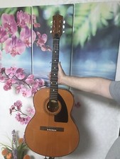 Vintige Gitarre Eko Navajo 5 