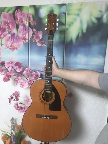 Vintige gitarre eko navajo - 5,