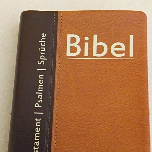Bibel neues testament - bibel, mit
