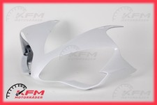 Yamaha YZF-R1 RN19 Verkleidung