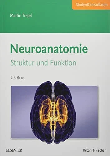 Neuroanatomie struktur und - struktur,