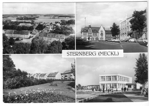 Sternberg meckl vier - , meckl.,