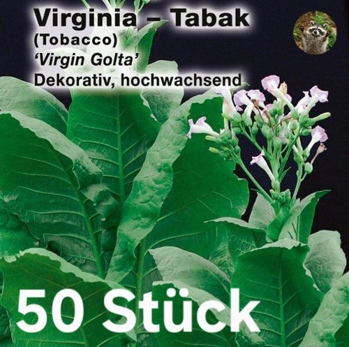 Virginia tabak virgin golta - tabak,,