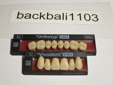 Vivodent  Backenzahn Orthotyp