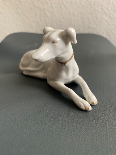 Windhund greyhound galgo - windhund,